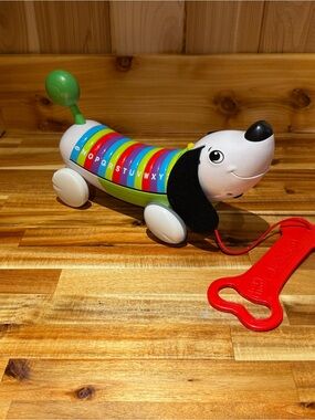 Pull-Along Rainbow Dachshund Toy - Multicolor Kids Toy